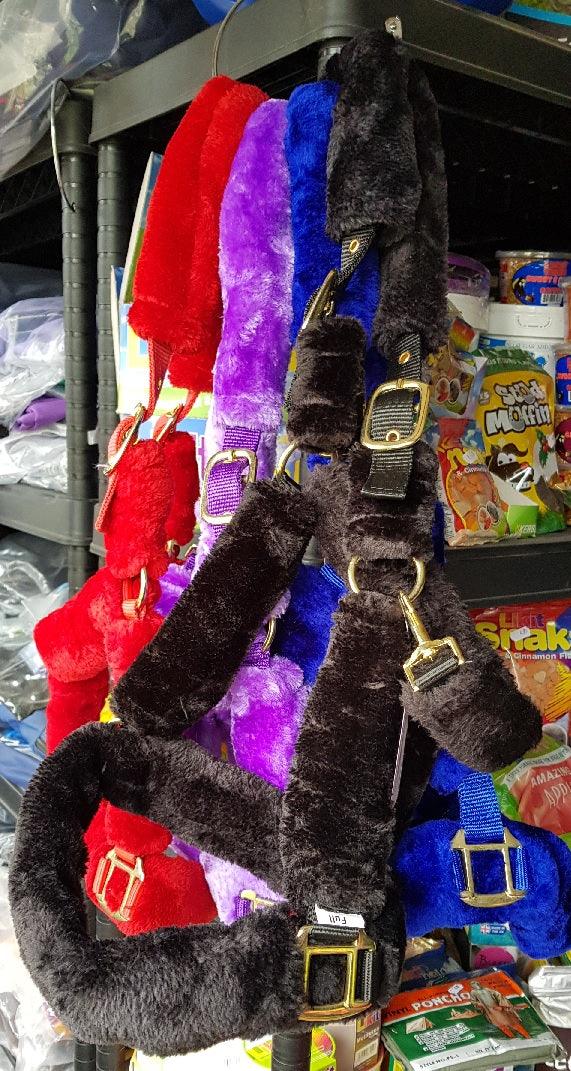 Licol Kingston - SHOPHORSE